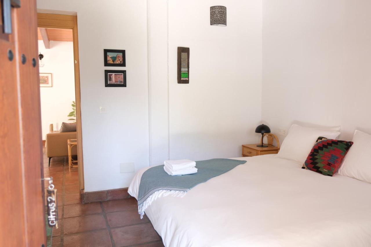 The Wild Olive Andalucia Citrus Suite 卡萨雷斯 外观 照片